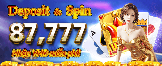 Premium Slots Collection
